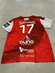 Lukas Sandell Veszprém baksida